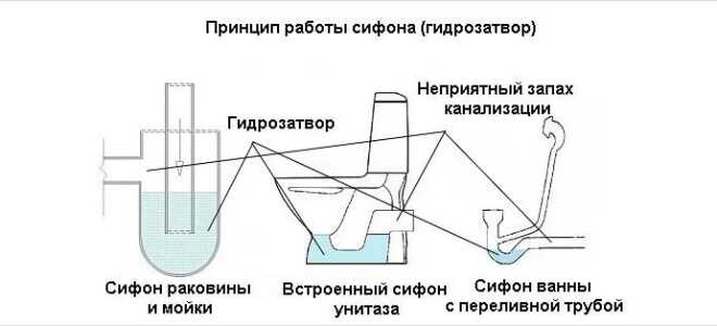 Правила сбора сифонов для ванной, советы специалистов