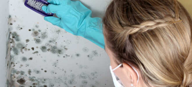Эффективные средства, помогющие избавиться от плесени в ванной комнате