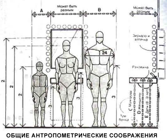 Основные антропометрические показатели
