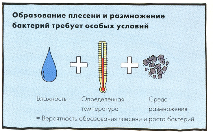 Схема образования плесени