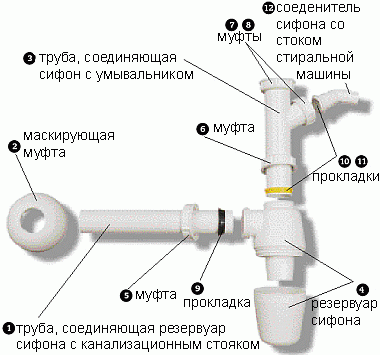 Строение сифона